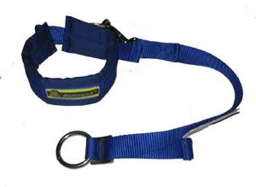 Beltenick Arm Restraints
blau