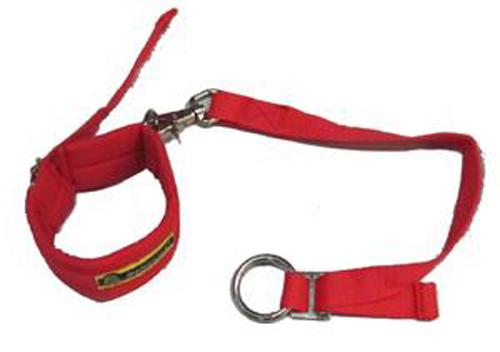 Beltenick Arm Restraints
rot