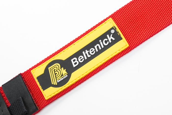 Beltenick 6-Punkt FIA Gurt Professional Endurance HANS
 FIA 8853-2016 (50mm Beckengurte)